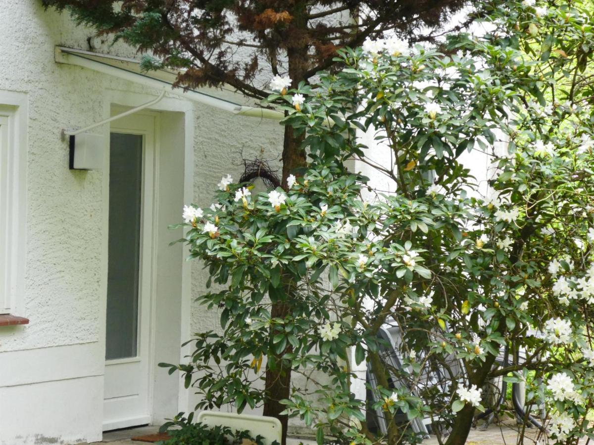 Ferienwohnung Niemann In Lutterloh Unterluss Exterior foto