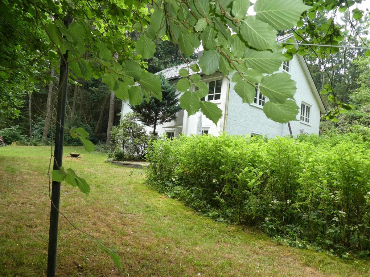 Ferienwohnung Niemann In Lutterloh Unterluss Exterior foto